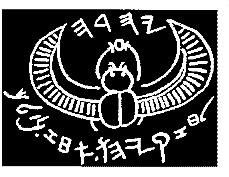 Scarab Beetle